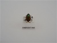 藏品(黃豔金龜)的圖片